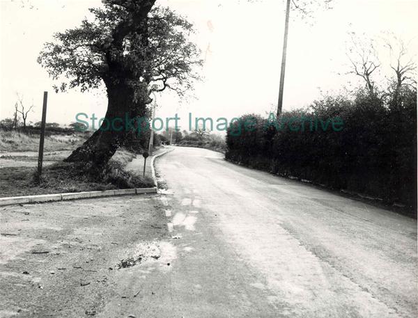 Jackson's Lane - Hazel Grove                                                                                                                                                                                                                                   