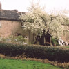 Far Cloughside Farm, Werneth Low.                                                                                                                                                                                                                              